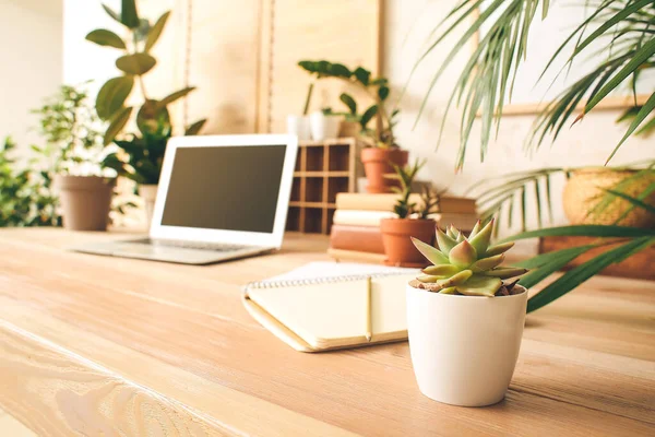 Comfortable Workplace Modern Laptop Green Houseplants — Stock Photo, Image