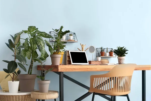 Bekväm Arbetsplats Med Modern Laptop Och Krukväxter Rummet — Stockfoto