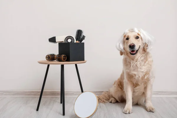 Funny dog in wig and with cosmetic supplies indoors