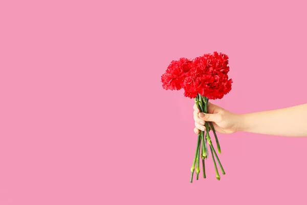 Female hand with bouquet of beautiful carnation flowers on color background