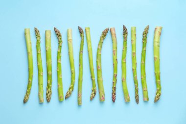 Renkli arkaplanda taze kuşkonmaz