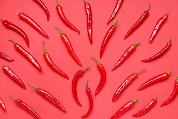 Hot Chili Pepper Color Background — Stock Photo, Image