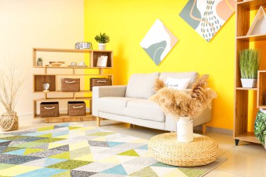 Rahat kanepesi olan modern bir oda.