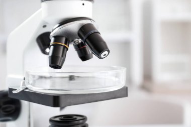 Bilimsel laboratuvarda modern mikroskop