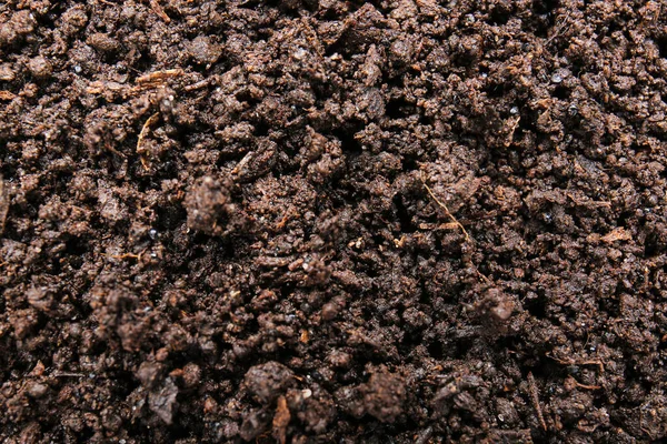 Texture Soil Background — Stockfoto