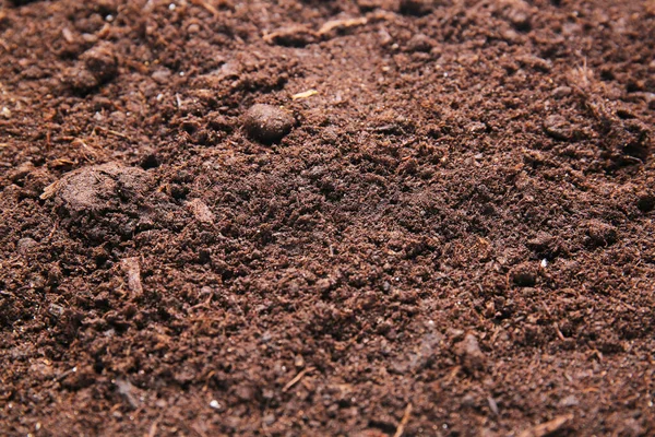 Texture Soil Background — Stockfoto