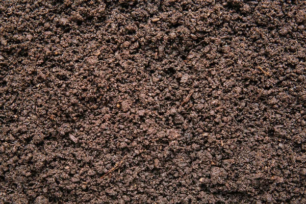 Texture Soil Background — Stockfoto