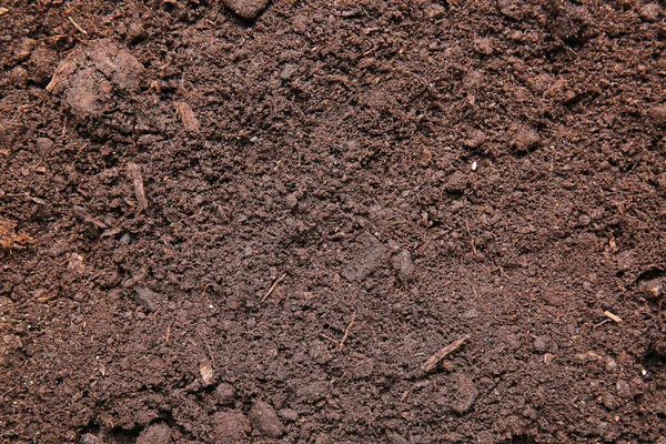 Texture Soil Background — Stock Photo, Image