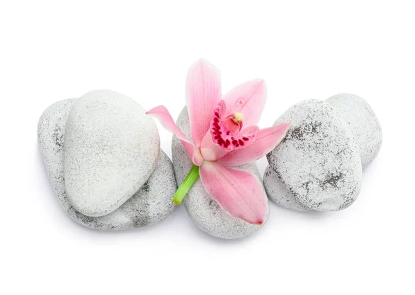 Σπα Πέτρες Και Λουλούδια Λευκό Φόντο — Φωτογραφία Αρχείου