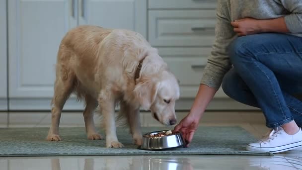 Kobieta Karmienia Jej Ładny Pies Kuchni — Wideo stockowe