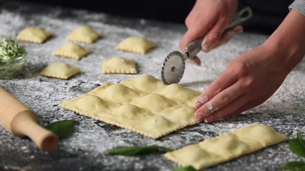 Woman Making Tasty Ravioli Table Closeup — Stock Video