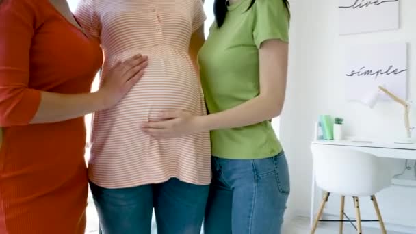 Lesbian Couple Touching Belly Young Pregnant Woman Surrogate Motherhood Concept — Stock Video