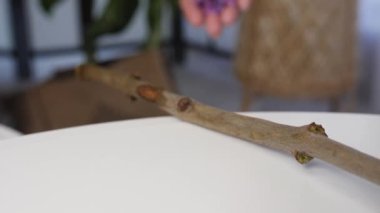 Masaya düşen leylak çiçekleri, yakın plan