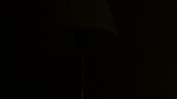 女人打开房间里的灯 — 图库视频影像