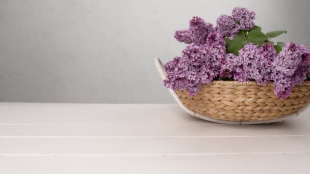 Mujer Poniendo Rama Lilas Beautifu Mesa — Vídeo de stock