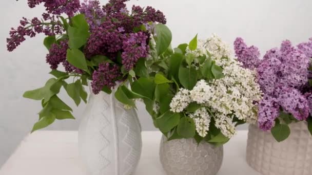 Vasen Mit Sträußen Schönen Flieders Auf Dem Tisch — Stockvideo