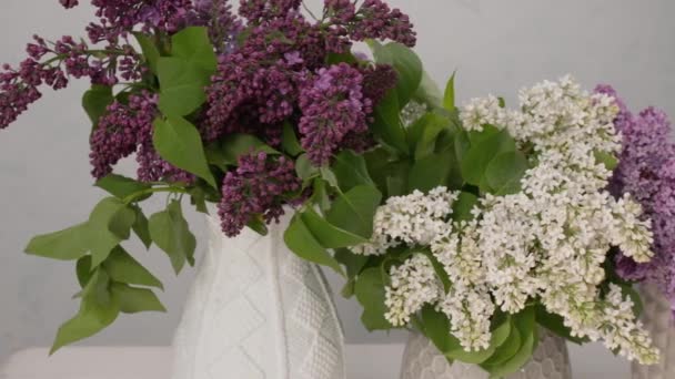 Vases Avec Des Bouquets Beaux Lilas Sur Table — Video