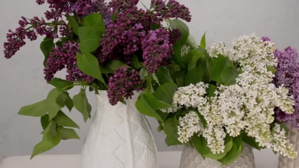 Vases Avec Des Bouquets Beaux Lilas Sur Table — Video