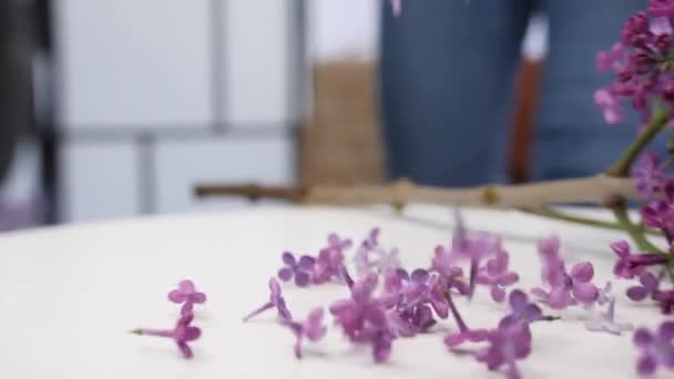 Masaya Düşen Leylak Çiçekleri Yakın Plan — Stok video