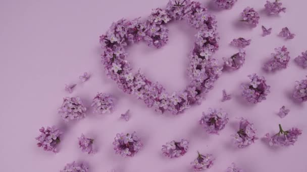 Krásná Kompozice Šeříkové Květy Barevném Pozadí — Stock video