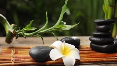 Zen taşları, güzel çiçekler ve masada bambu.
