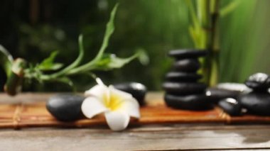 Zen taşlı güzel kompozisyona odaklanan kamera