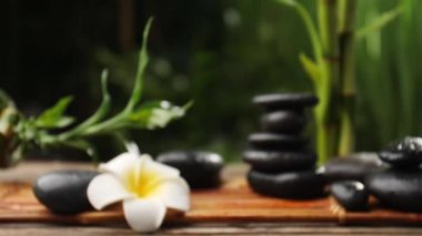 Zen taşlı güzel kompozisyona odaklanan kamera