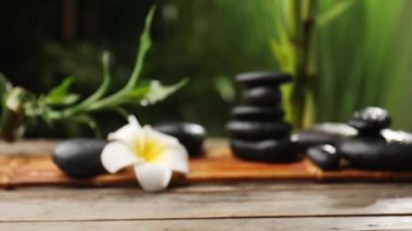 Zen taşlı güzel kompozisyona odaklanan kamera
