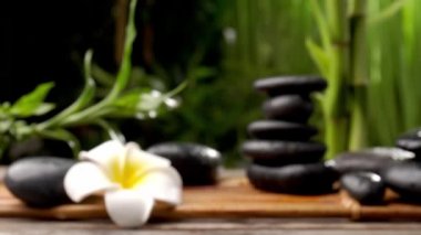 Zen taşlı güzel kompozisyona odaklanan kamera