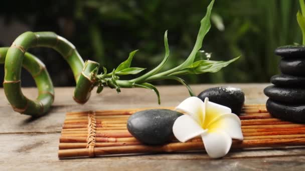 Zenové kameny, krásné květiny a bambus na stole