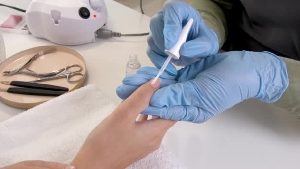 Mestre Manicure Trabalhando Com Cliente Feminino Salão Beleza Close — Vídeo de Stock