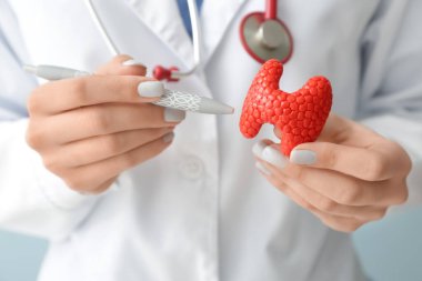 Tiroid bezi ve kalemi olan doktor, yakın plan.