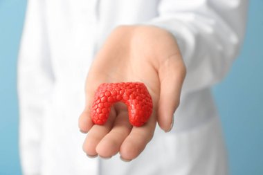 Tiroit bezi modeli olan doktor, yakın plan.