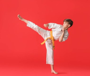 Renkli arka planda karate yapan sevimli bir çocuk.