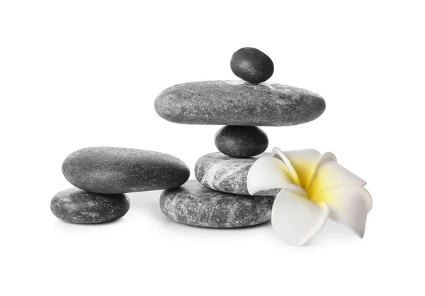 Egy Halom Zen Kövek Virág Fehér Háttér — Stock Fotó