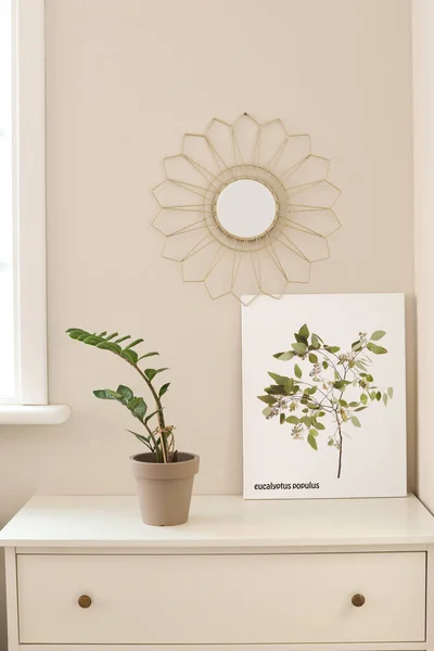 Intérieur Chambre Avec Miroir Plante Intérieur — Photo