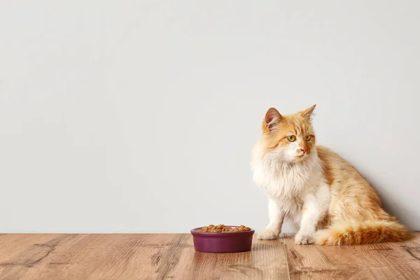 Leuke Grappige Kat Buurt Van Kom Met Eten Thuis — Stockfoto