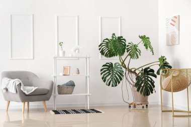 Raf üniteli modern odanın içi