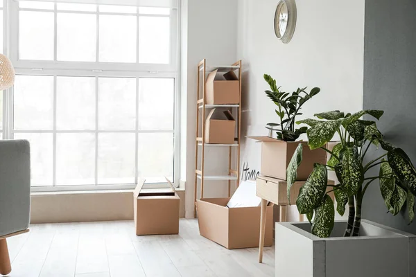 Cardboard Boxes Belongings New Flat Moving Day — Stock Photo, Image