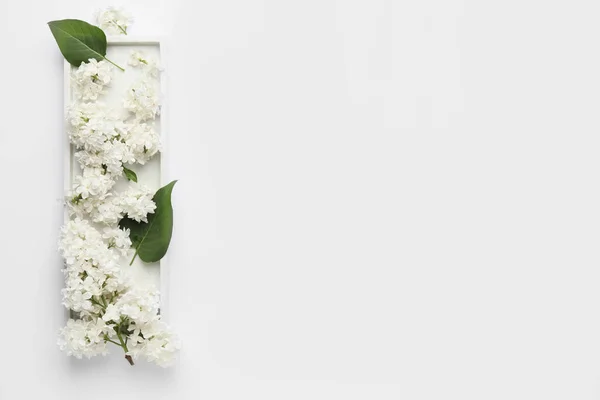 白い背景に美しいライラックの花を持つプレート — ストック写真