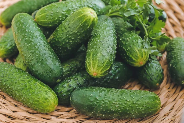 Veel Groene Komkommers Tafel — Stockfoto