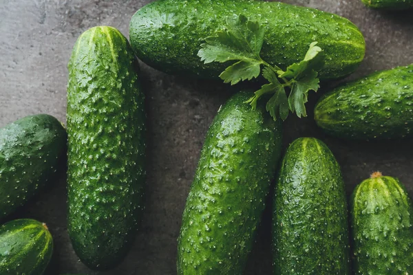 Många Gröna Gurkor Grå Bakgrund — Stockfoto