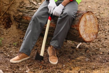 Ormanda baltası olan yakışıklı bir oduncu.