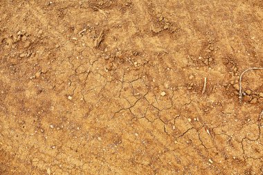 Kuru toprak, üst manzara.