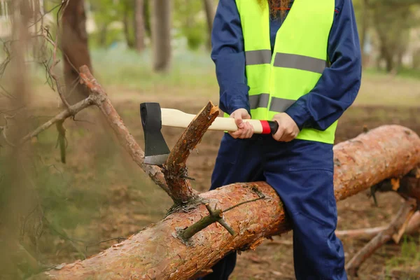 Handsome Lumberjack Cutting Trees Forest — Stock Photo, Image