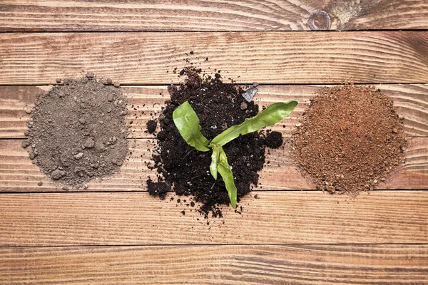 Different Types Soil Plant Wooden Background — Stock Photo, Image