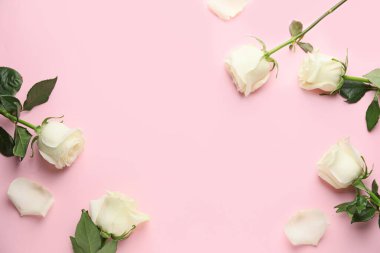 Renkli arkaplanda güzel beyaz güller