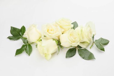 Beyaz arka planda güzel güller