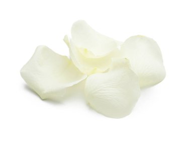 Beyaz arka planda güzel gül yaprakları