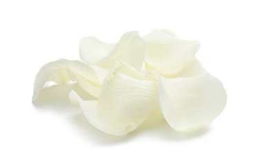 Beyaz arka planda güzel gül yaprakları